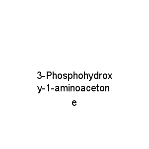 3-Phosphohydroxy-1-aminoacetone