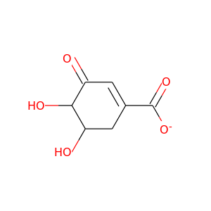 3-dehydro-shikimate