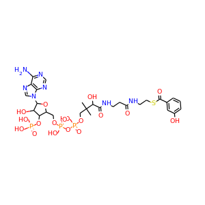 3-hydroxybenzoyl-CoA