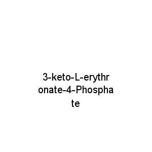 3-keto-L-erythronate-4-Phosphate