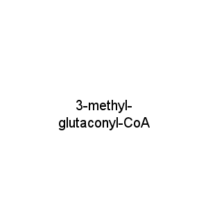 3-methyl-glutaconyl-CoA