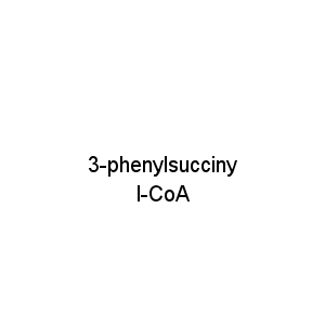 3-phenylsuccinyl-CoA
