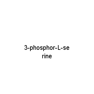 3-phosphor-L-serine