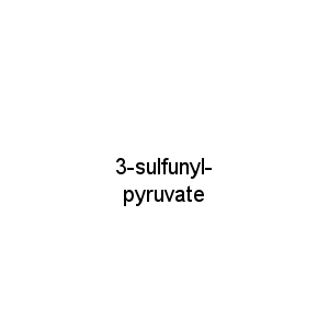 3-sulfunyl-pyruvate