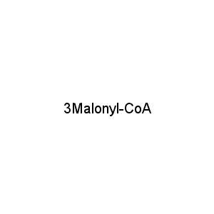 3Malonyl-CoA