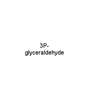 3P-glyceraldehyde
