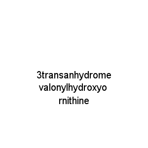 3transanhydromevalonylhydroxyornithine