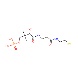 4'-phosphopantetheine