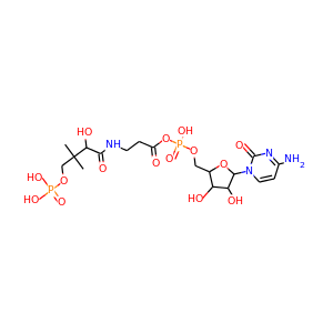 4'-phosphopantothenoyl-CMP
