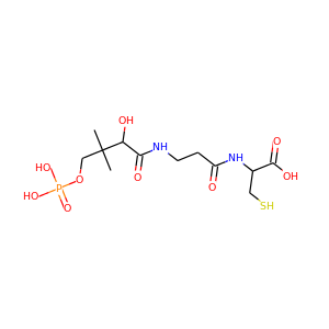 4'-phosphopantothenoylcysteine