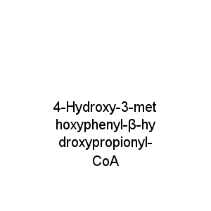 4-Hydroxy-3-methoxyphenyl-β-hydroxypropionyl-CoA
