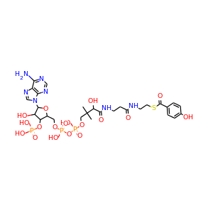 4-Hydroxybenzoyl-CoA
