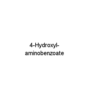 4-Hydroxyl-aminobenzoate