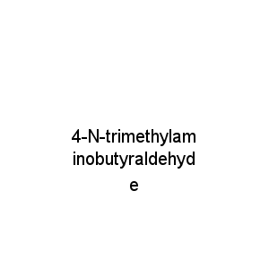 4-N-trimethylaminobutyraldehyde
