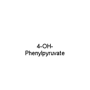 4-OH-Phenylpyruvate