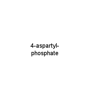 4-aspartyl-phosphate