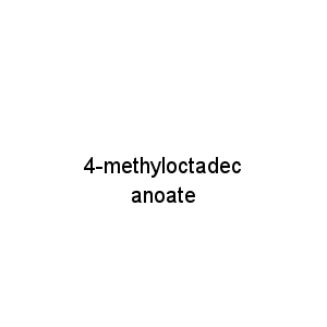 4-methyloctadecanoate