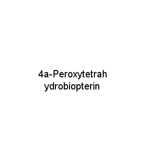 4a-Peroxytetrahydrobiopterin