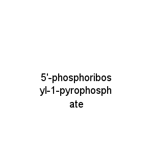 5'-phosphoribosyl-1-pyrophosphate