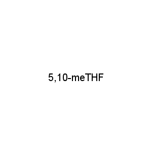 5,10-meTHF