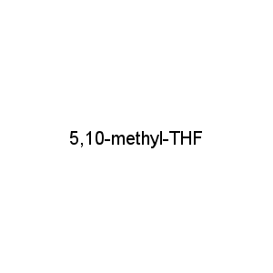 5,10-methyl-THF