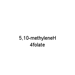 5,10-methyleneH4folate