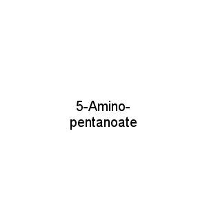 5-Amino-pentanoate