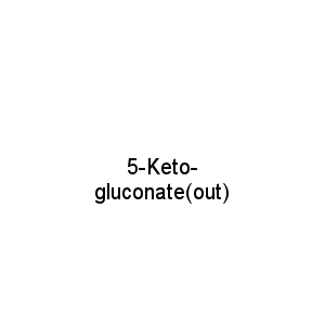 5-Keto-gluconate(out)