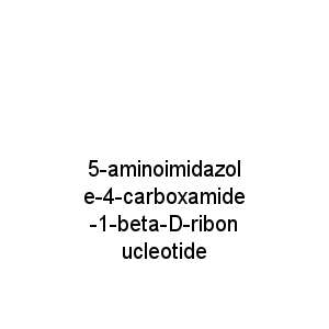 5-aminoimidazole-4-carboxamide-1-beta-D-ribonucleotide