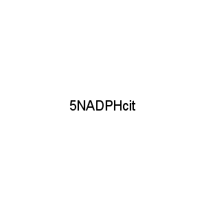 5NADPHcit