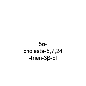 5α-cholesta-5,7,24-trien-3β-ol
