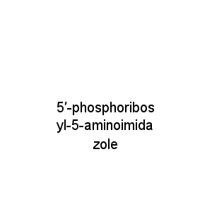 5′-phosphoribosyl-5-aminoimidazole