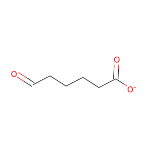 6-Oxohexanoate