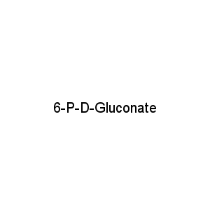 6-P-D-Gluconate