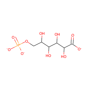 6-Phospho-gluconate