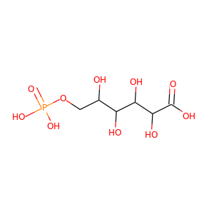 6-Phosphogluconate