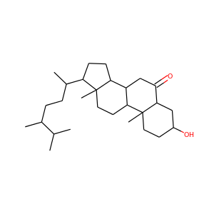 6-oxocampestanol