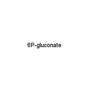 6P-gluconate