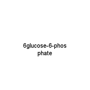 6glucose-6-phosphate