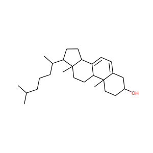 7-DHC