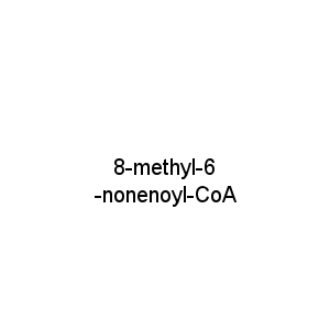 8-methyl-6-nonenoyl-CoA