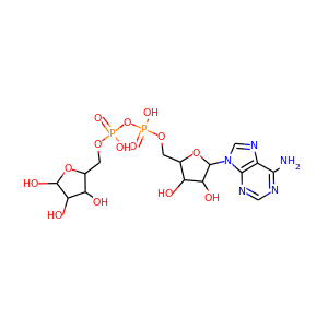 ADP-ribose