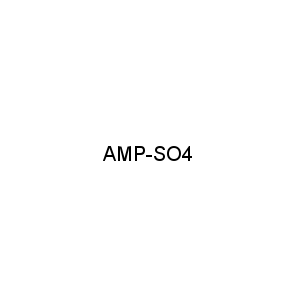 AMP-SO4