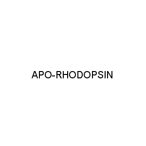 APO-RHODOPSIN