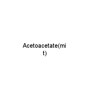 Acetoacetate(mit)