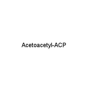 Acetoacetyl-ACP