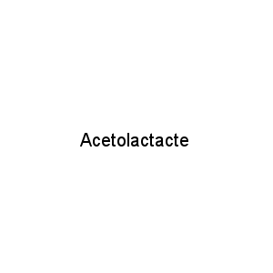 Acetolactacte