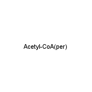 Acetyl-CoA(per)