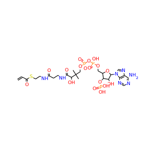Acryloyl-CoA