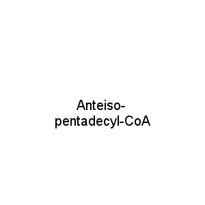 Anteiso-pentadecyl-CoA